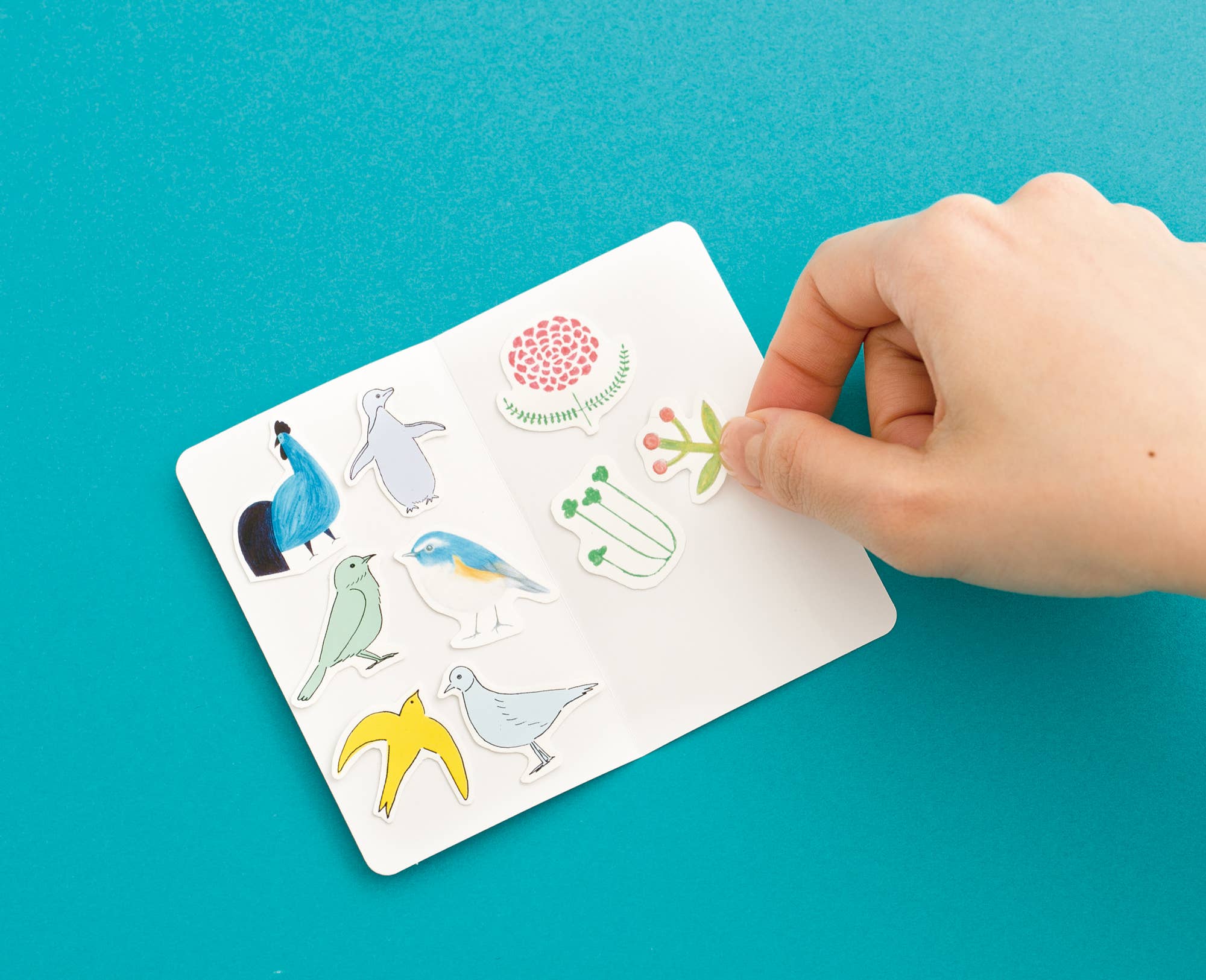Product image 24